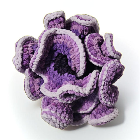 Large Plush Fidget Coral