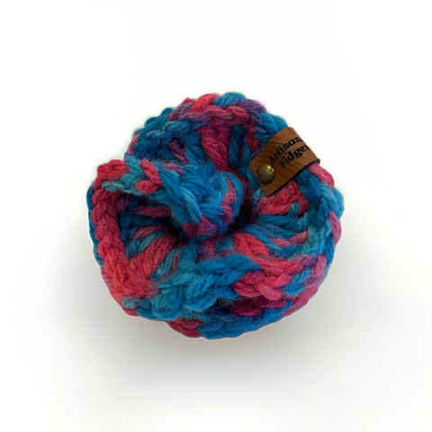 Small Multicolor Fidget Coral